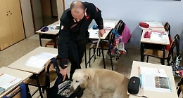 Il cane antidroga Ivan fiuta marijuana in un liceo in provincia di Catania