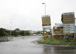 Dentro il camion rubato un piccolo zoo
