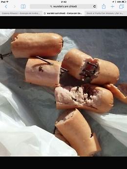 Palma di Montechiaro, ericolo bocconi avvelenati al Villaggio Giordano