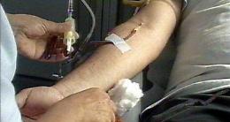 Sangue, l'autosufficienza non c'è