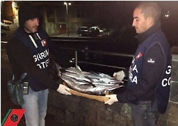 Aci Trezza, spadotti sottomisura sequestrati fuori dal mercato ittico