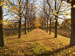 Addio autunno caldo, è in arrivo Attila: da domenica temperature in picchiata