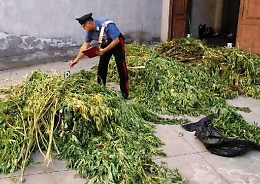 Catania, intercettato a Nesima furgone con 1.000 kg di marijuana