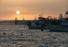 I motopesca fermati e il Mediterraneo caos Gli armatori siciliani: «Governo ci protegga»