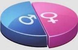 Il governo e il rispetto non simbolico delle quote rosa