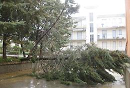 Il ciclone Harry in Sicilia, mercoled&igrave; 21 gennaio allerta gialla a Palermo: riaprono le scuole