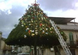 Messina, &egrave; grave un giovane caduto da albero della cuccagna