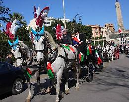 Palermo: Sequestrato calesse e cavallo a un cocchiere. Era senza assicurazione
