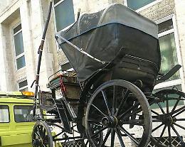 Palermo: cocchiere gira licenza, vigili gli sequestrano il calesse