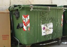 Palermo, gettò bimba in cassonetto, il medico: «Era morta prima»