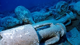 Meraviglie del mare di Sicilia  in mostra ad Amsterdam