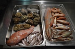 Catania, controlli polizia ristoranti e officine