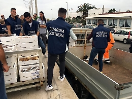 Pesca di frodo, la Guardia costiera ha sequestrato quasi una tonnellata di pesce