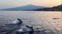 Show di delfini con vista sull'Etna,
incanto per Taormina e i suoi turisti
