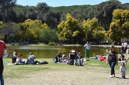 Il Demanio lascia Boschetto della Plaia al Comune di Catania: non sarà venduto