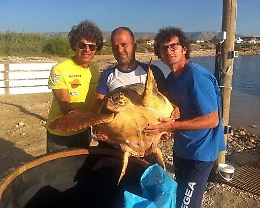 Avola, diportisti salvano tartaruga