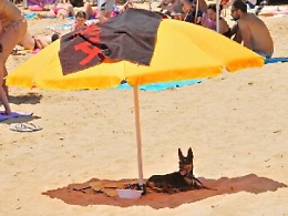 Caldo africano in arrivo con punte fino ai 36 gradi