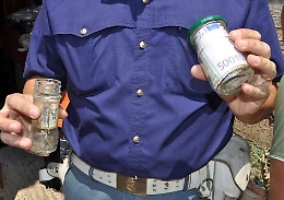 Comiso, giovane ai domiciliari seppellisce soldi e cartucce: denunciato