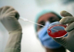 Fecondazione eterologa al via pure in Sicilia A carico della Regione, ma tariffe da stabilire