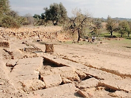 Agrigento, nel 2017 grandi lavori nella Valle dei Templi