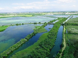 Pantano Longarini, i tedeschi ne tuteleranno la biodiversit&agrave;