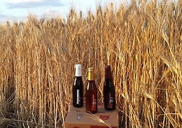 Tra spighe e carciofi, il gusto "cool" della birra artigianale made in Ramacca
