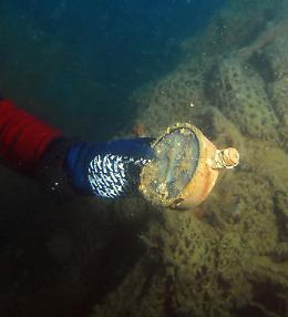 Ecco il relitto del Savoia Marchetti abbattuto dagli inglesi nel '42