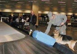 Palermo, cocaina tra i profilattici Arrestato un corriere catanese