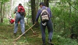 Forestali, i sindacati: &laquo;Servono riforme e non misure spot&raquo;