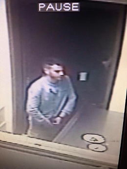 Danni a locale e urina su torte Intimidazione per chef Giunta