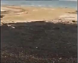 Sversamento di petrolio alle Kerkennah Lampedusa salva