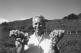 Addio a Giacomo Rallo, ambasciatore del vino siciliano nel mondo