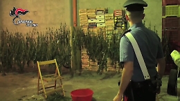 Palermo, il box era stato trasformato in un laboratorio per la produzione di droga