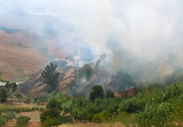 Fuoco a Parco dei Nebrodi Allevatori sorpresi ad appiccarlo