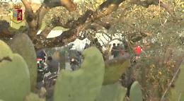 Corsa clandestina di cavalli tra Naro e Palma, ecco il blitz della Polizia