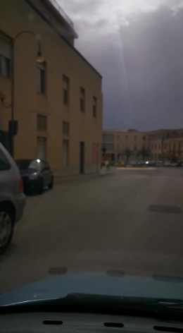 Mucca "imbizzarrita" e uccisa a Ragusa, ecco il video di un automobilista