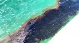 Allarme gasolio nel mare di Lampedusa: fuoriesce da un vecchio barcone