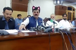 Il ministro pakistano con le orecchie di gatto: dimenticano il filtro e la conferenza in streaming &egrave; un disastro