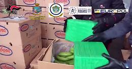 Gioia Tauro, il maxi carico di cocaina nascosto tra le banane