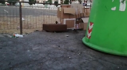 Catania: topi a "passeggio" in via Ustica