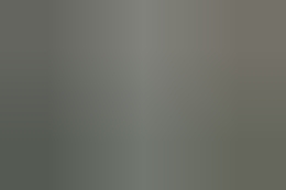 "I leoni siamo noi e ci mangiamo un paese"
Così parlavano gli stiddari di Di Giacomo