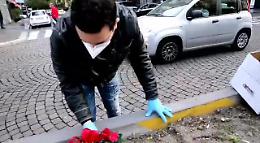 Catania, ciclamini in Corso Sicilia dopo furto di stelle di Natale