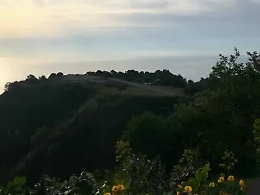 G7 di Taormina, il video degli ulivi secolari abbattuti per costruire l'elipista