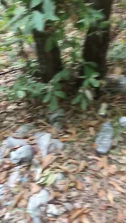 Parco dell'Etna: passeggiando tra i boschi con i bambini...