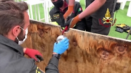 Il gattino mette la testa in un buco e resta incastrato: vigili del fuoco lo liberano