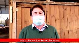 «Sanificazione della sabbia e box in plexiglass? Follie». Ma i gestori dei lidi sono pronti a nuove misure