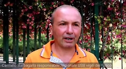 Più prevenzione e maggiori risorse per la salvaguardia del verde