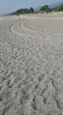 Calatabiano (CT): incivili mettono in pericolo uova di tartaruga sulla spiaggia di San Marco