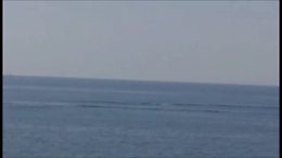 Una balena di 10 metri tra Catania e Aci Castello e la sorpresa di un padre e di suo figlio