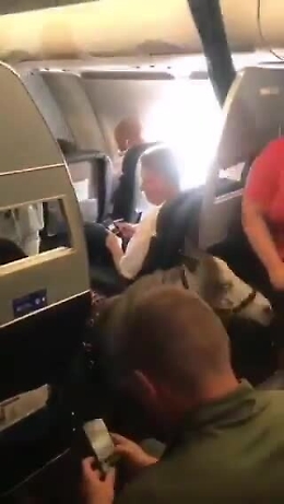 Un pony sale sull'aereo: la sorpresa dei passeggeri